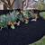 Affordable,Clean ups,log split,tree removal,&More 610-961-2045 5 thumbnail