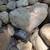 Assortment of flat slate and round boulders from dismantled pond 12 thumbnail