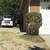Dump your Soil / Fill Dirt Mix 20 yards 5 thumbnail