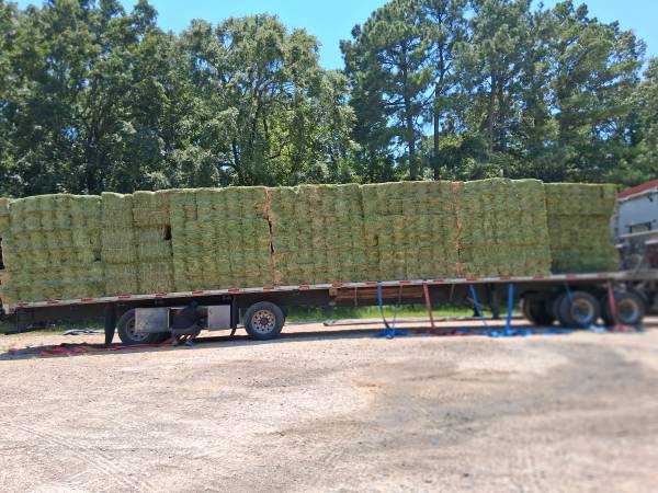 14 bale bundles small square alfalfa for sale 1