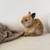 Bunny 1 thumbnail