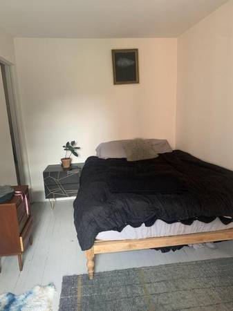 $80 / 1br - 1BR apartment in Greenpoint November 2nd - November 17th (Greenpoint)64146824363139124
