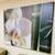 MOVING MUST SELL!!!  XL CANVAS PRINTS with FRAMES 16 thumbnail