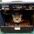 Vintage Peavey Bandit Solo Series 50 Watt Guitar Amp 6 thumbnail