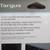 New Targus High Speed File Share cable 5 thumbnail