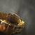 MICHAEL KORS WATCH IN BOX - GOLD IN COLOR 4 thumbnail