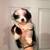 Australian shepherds 1 thumbnail
