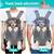 Dog backpack 2 thumbnail