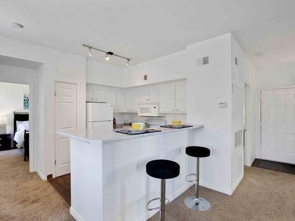 $1,349 / 2br - 1032ft2 - Treadmills, EllIptIcals, Bikes and More, A Must See, Modern Upgrades63859501710979124