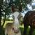 Belgian Stud Colt horse 10 thumbnail