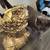 Tibetan Polychromed Bronze Buddhist  Statue 17"s High! 7 Lbs! 7 thumbnail