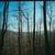 Spruce Pine NC Building Lot - NC Mountains 1 thumbnail