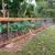 Fence Installation Service-Financing Available 14 thumbnail