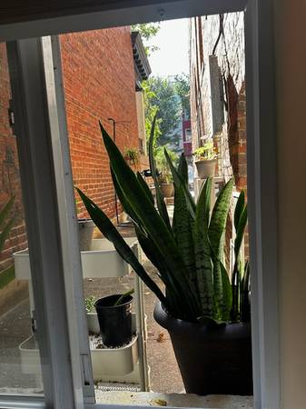 $2525.00 / 2br - 1142ft2 - The Wisteria64040196285187121