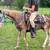 Registered Missouri Foxtrotter Stallion 1 thumbnail