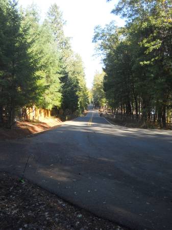 $175,000 30k down, 2.5 ac in quiet area of nice homes. 15 min from Grants Pass (Grants Pass)64318774953730120