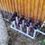 Irrigation,sprinkler,drip systems install and repair 15 thumbnail