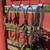 Bridles 2 thumbnail