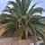 JUAN'S LANDSCAPING 8 thumbnail