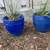 Pair of Large Blue Ceramic Pots with Succulents 1 thumbnail