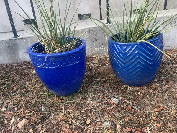 Pair of Large Blue Ceramic Pots with Succulents 1