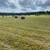 Hay Round Bales 4 thumbnail