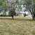 3 bedroom home on 3 acres in Madison county 9 thumbnail