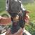 Blue ox RV hitch for towing vehicles behind 5 thumbnail