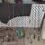 Fishing rods, rod and reel, $20, just rod $10 5 thumbnail
