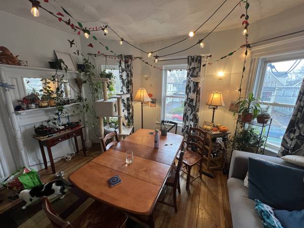 $4,800 / 4br - 9999ft2 - NO FEE! 1/1/25! DAVIS SQUARE 4 BED! 3 BATH! PARKING! LAUNDRY! PETS!! (Somerville)63655287863425124