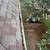 Gutter Cleaning & Tree Trimming 3 thumbnail