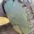 Black Walnut Log - Premium 31"X9' – Perfect for Slabs, Furniture, or 3 thumbnail