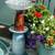 Unique Birdbaths 6 thumbnail