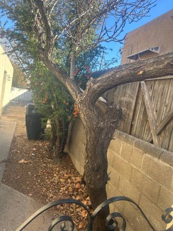 Hauling removing or build call us 1