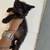 Kittens 5 thumbnail