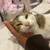 Free Cat - sweetest, lovable cat  to a good home 1 thumbnail