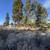 Lot 4 Shoshoni Way / Bella Vista Subdivision 19 thumbnail