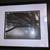 FRAMED ART POSTER PRINT CYPRESS TREES LIKE NEW 1 thumbnail