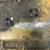 1998 Caterpillar 3126 ECM 3 thumbnail