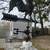 Antique Rooster Weathervane. 13 thumbnail