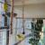 Canaries with Bird Cage 2 thumbnail