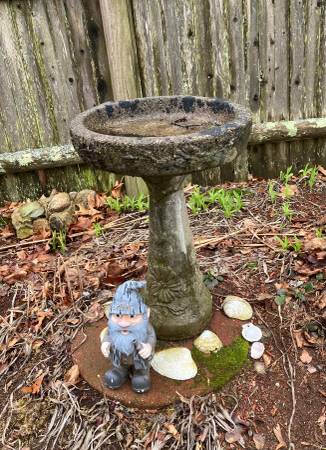 Cement bird bath 1