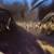 NWT Ted Baker London Black Bow Brush Case/Cosmetic Bag 7 thumbnail