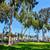 3/bd, Outdoor Fitness Area, Pet-Friendly Community 7 thumbnail