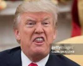Re: Trump63857555331457121