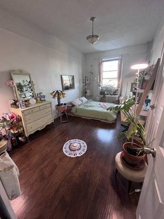 $1,050 / 1500ft2 - Habitación grande soleada llena de plantas con ambiente bohemio en Prospect Park! (Prospect Park/Brooklyn)63862609043971120