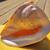 Queen Horned Helmet Conch Shell 10”x 6”x8”  RARE 6 thumbnail