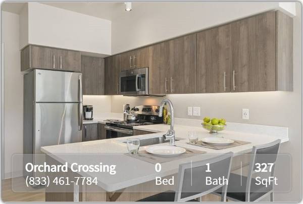 $1,199 / 327ft2 - Gorgeous Studio! Tour and sign w/in 72 hours for a gift card! (Eugene)63977275374850121