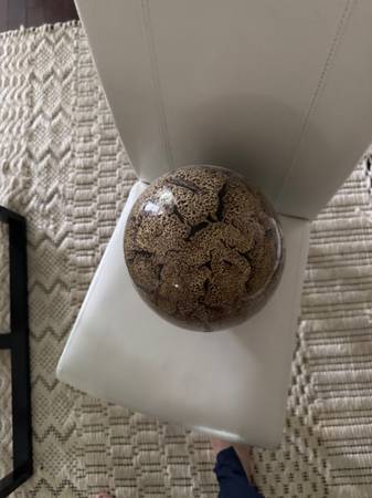Decorative Egg 1