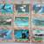 1991 Gulf War trading card complete set 3 thumbnail